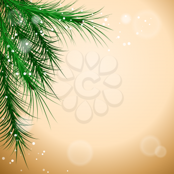 Christmas green framework with pine tree branch, vector illustration