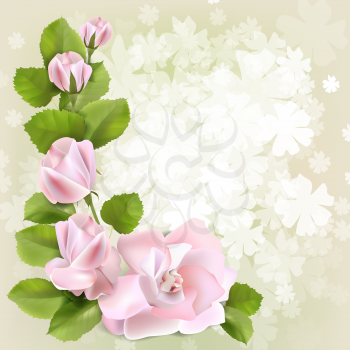 Spring background with pink roses, vector illustration