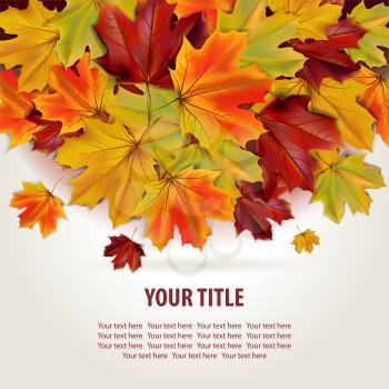 Beautiful autumn background with colorful maple leaves and place for text, vector illustration