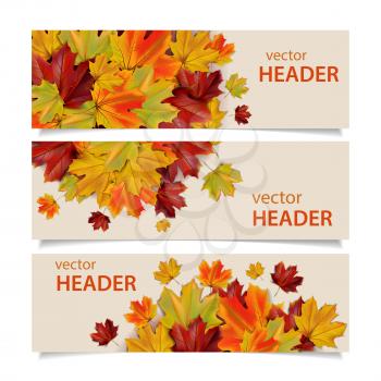 Set of colorful autumn banners with maple leaves, vector illustration