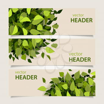 Set of green headers with leaves and banners, vector illustration