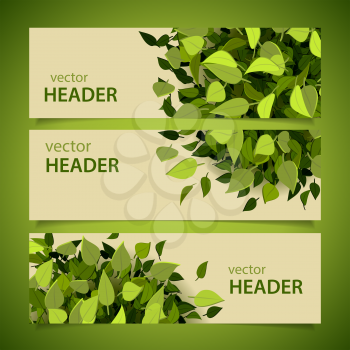 Set of green headers with leaves and banners, vector illustration