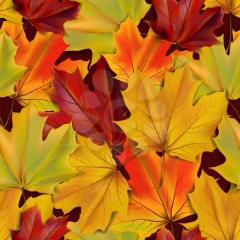 Autumn leaves seamless realistic texture, vector illustration
