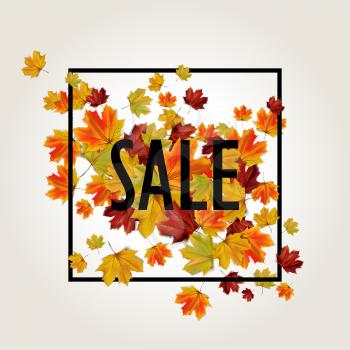 Autumn sale background with colorful leaves, vector illustration