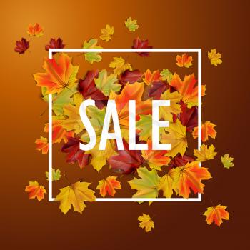 Autumn sale background with colorful leaves, vector illustration