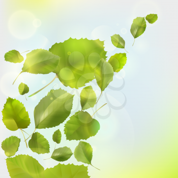 Nature background with fresh green leaves and sunshine
