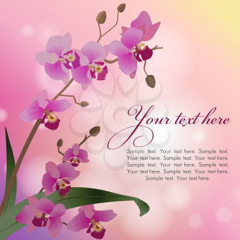 Bokeh pink background with orchids, vector illustration