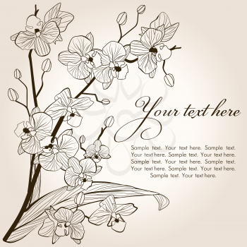Beautiful vintage orchid background, vector sketch illustration