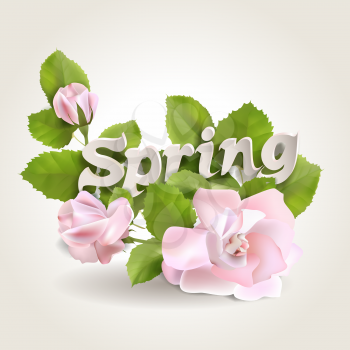 Fresh spring background with leaves and roses