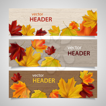 Set of autumn banners with leaves on wooden surface