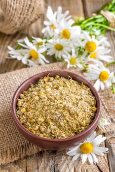 Dried and fresh chamomile flowers and leaves on wooden rustic background, alternative medicine