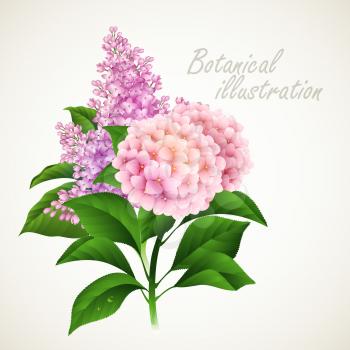Botanical vector illustration. Vintage floral card EPS 10