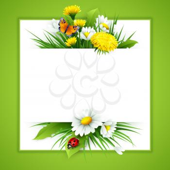 Fresh spring background with grass, dandelions and daisies. Vector