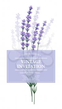 Vintage card with lavender flower. Vector illustration EPS10