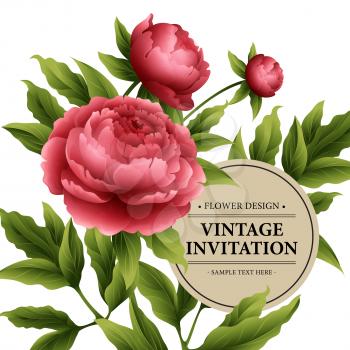 Luxurious  peony flower and leaves greeting card. Vector illustration EPS10