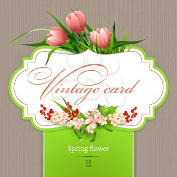 Spring  vintage elegant card with  flowers. Vector illustration EPS10