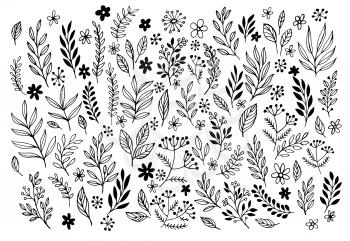 Set of sketches and line doodles  hand drawn design floral elements. Vector illustration EPS10