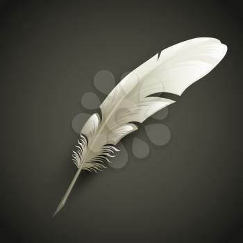 White Feather. Vector object illustration EPS 10