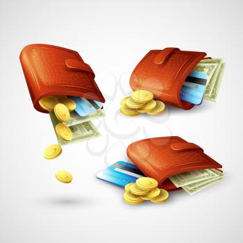 Purse with money, credit cards and coins. Vector illustration