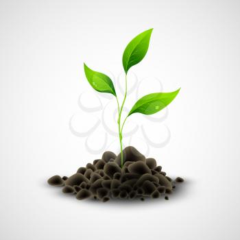 Plant sapling growing. Vector illustration EPS 10