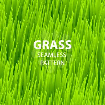 Green grass seamless pattern. Vector illustration EPS 10