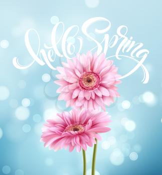 Gerbera Flower Background and Hello Spring Lettering. Vector Illustration EPS10