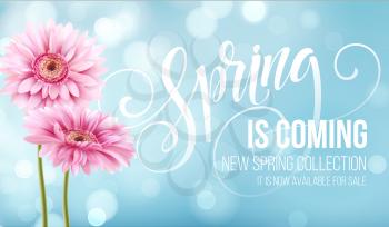Gerbera Flower Background and Spring is coming Lettering. Vector Illustration EPS10