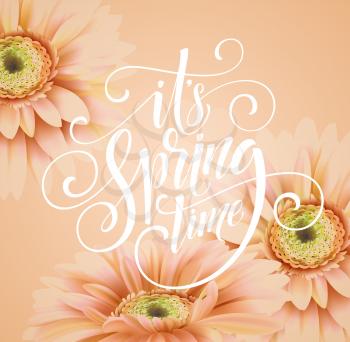 Gerbera Flower Background and Spring Lettering. Vector Illustration EPS10