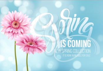 Gerbera Flower Background and Spring is coming Lettering. Vector Illustration EPS10