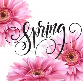 Gerbera Flower Background and Spring Lettering. Vector Illustration EPS10