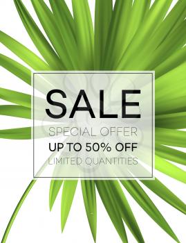 Sale banner or poster with palm leaves and jungle leaf. Floral tropical summer background. Vector illustration EPS10