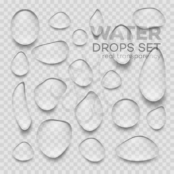 Realistic transparent Water drops. Vector illustration EPS10