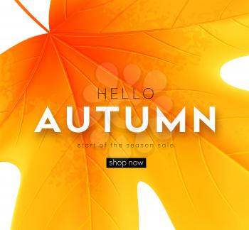 Autumn poster with lettering and yellow autumn maple leaves. Vector illustration EPS10