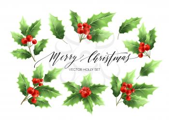 Christmas holly branches realistic illustrations set. Green holly twigs with red berries. Merry Christmas hand drawn lettering. Holiday decorative plant. Poster design elements. Isolated vector