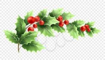 Christmas holly branch realistic illustration. Crescent twig with green leaves and red berries on transparent background. Decorative Xmas holly. Poster design element. Color isolated vector