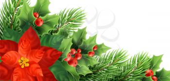 Christmas poinsettia flower realistic vector illustration. Xmas decorative plants. Holly twigs, red berries, poinsettia and fir branches Christmas decoration. Isolated banner, poster design element