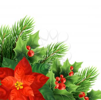 Christmas poinsettia flower realistic vector illustration. Xmas decorative plants. Holly, red berries, poinsettia and fir branches Christmas decoration. Isolated banner, poster color design element