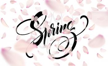 Spring lettering web banner template. Color pink sakura cherry blossom flower blue sky landscape background design. Vector illustration EPS10