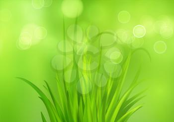 Spring bright green background with fresh spring grass. Blur and bokeh effect. Vector illustration EPS10