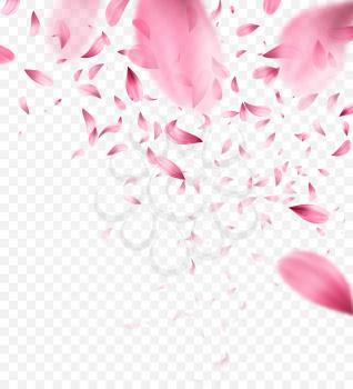 Pink sakura falling petals background. Vector illustration EPS10