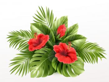 Exotic Tropical hibiscus flowers and monstera leaves, palm leaves of tropical plants isolated on white background. Vector illustration EPS10