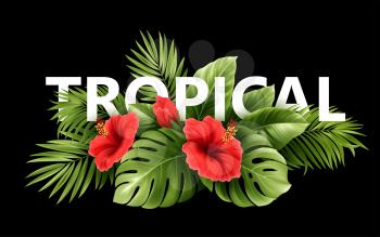 Exotic Tropical hibiscus flowers and monstera leaves, palm leaves of tropical plants isolated on black background. Vector illustration EPS10