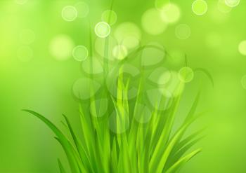 Frash Spring green grass background. Vector illustration EPS10