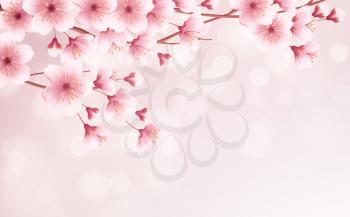 Spring time beautiful background with spring blooming cherry blossoms. Sakura branch with flying petals. Vector illustration EPS10