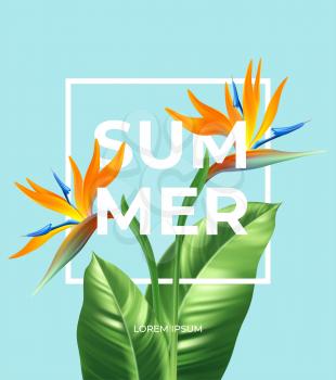 Summer tropical background with Strelitzia flowers and tropical leaves. The inscription Summer on a background of tropical green leaves. Vector illustration EPS10