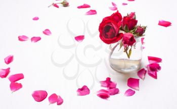 Red roses surrounded by the blurred petals on white background,greeting card with flowers