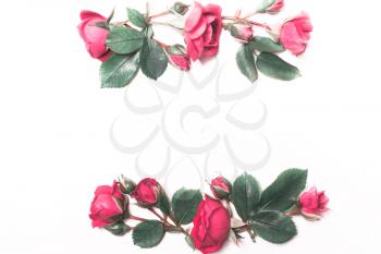 The composition, pattern of red roses on a white background. Frame of flowers. Soft focus. View from above