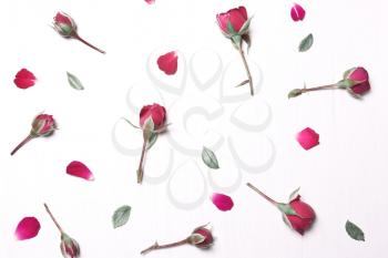 The composition of red flowers pattern of pink roses on a white background.Soft focus.Type flat top