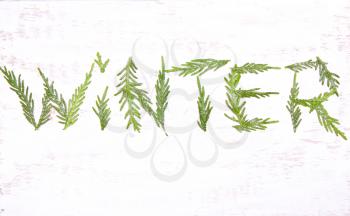 The word winter of evergreen
 branches on a white background. Top view, flat view