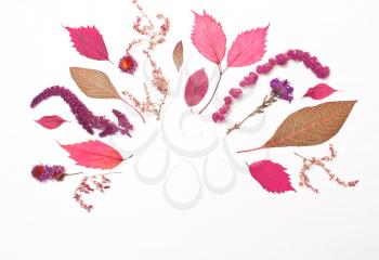 Frame of red leaves and flowers. Autumn composition. Top view, flat